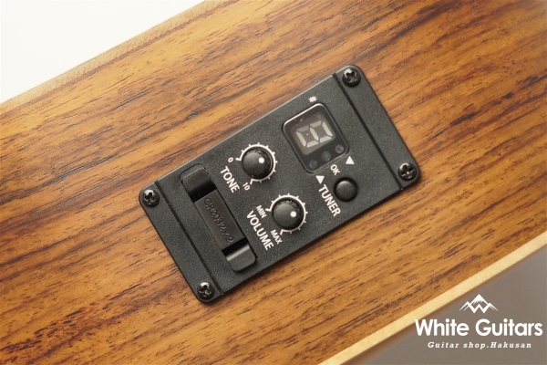 GS Mini-e Rosewood